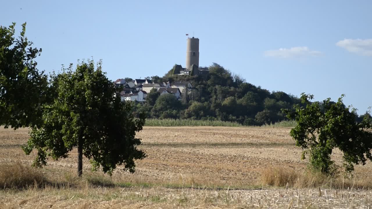 la ruina del castillo de vetzberg, alemania detrás de unos árboles y campos de grano secos en una tarde soleada