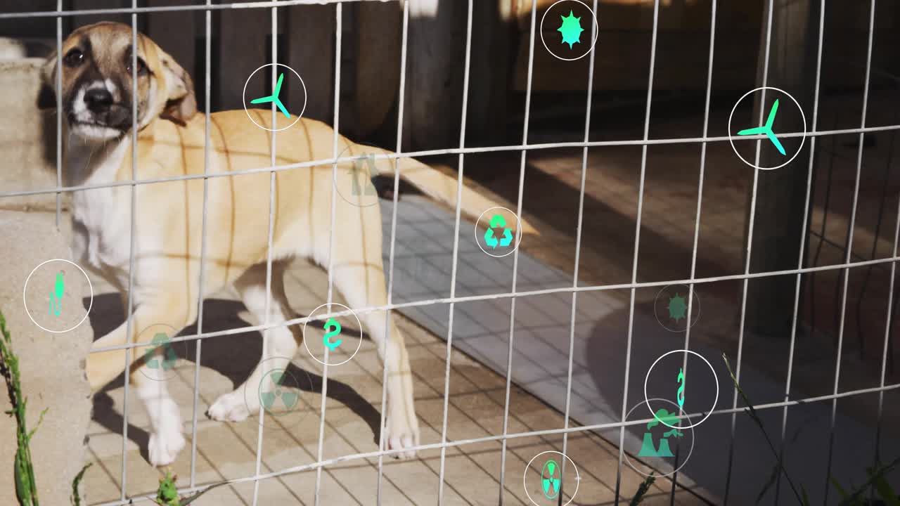Ao iniciar a reprodução, cachorro atrás de uma cerca de malha cheirando ícones ecológicos girando e desaparecendo, sinalizando impacto ecológico
