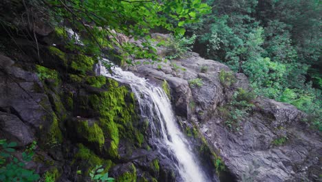 cascada que fluye en el bosque.