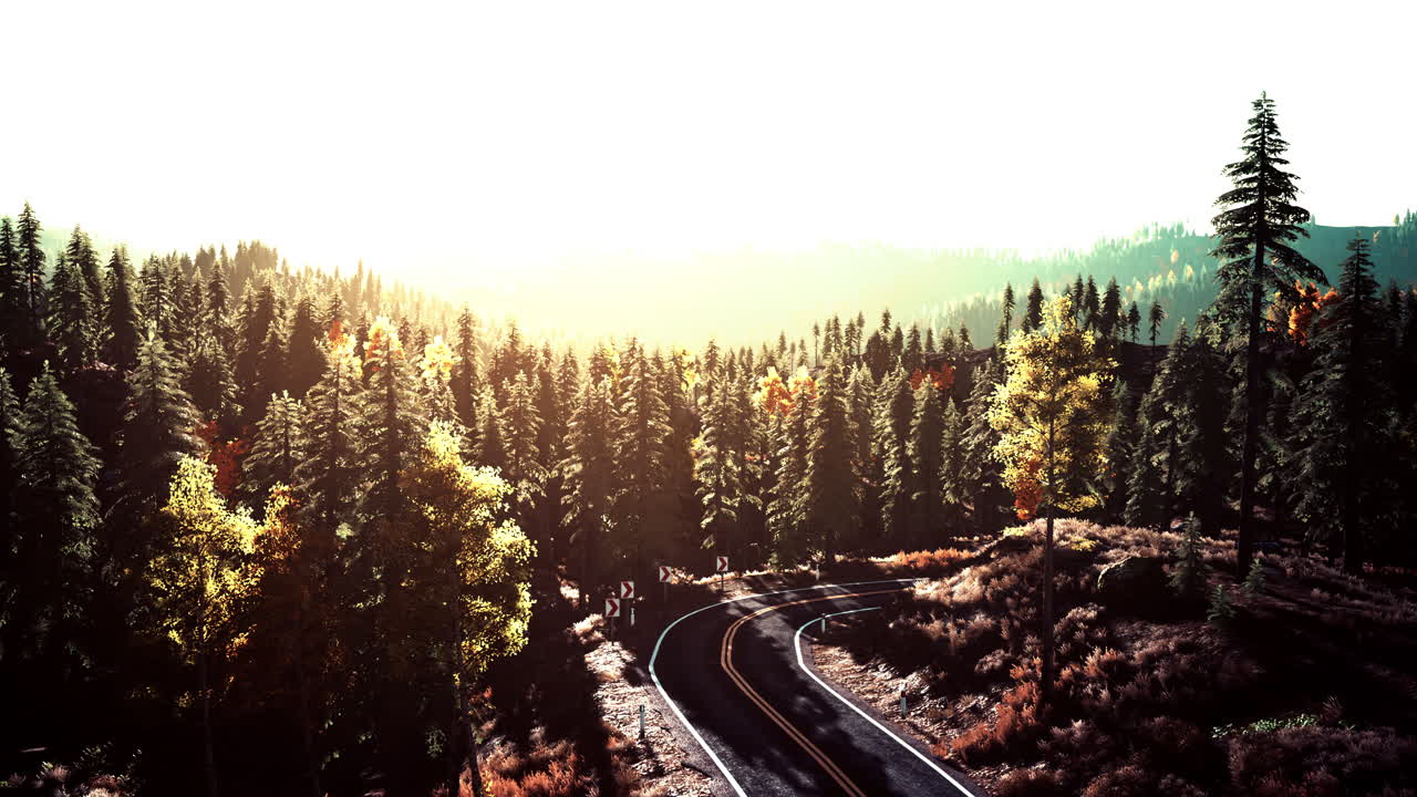 산악 숲 을 가로질러 경치 좋은 가을 의 드라이브