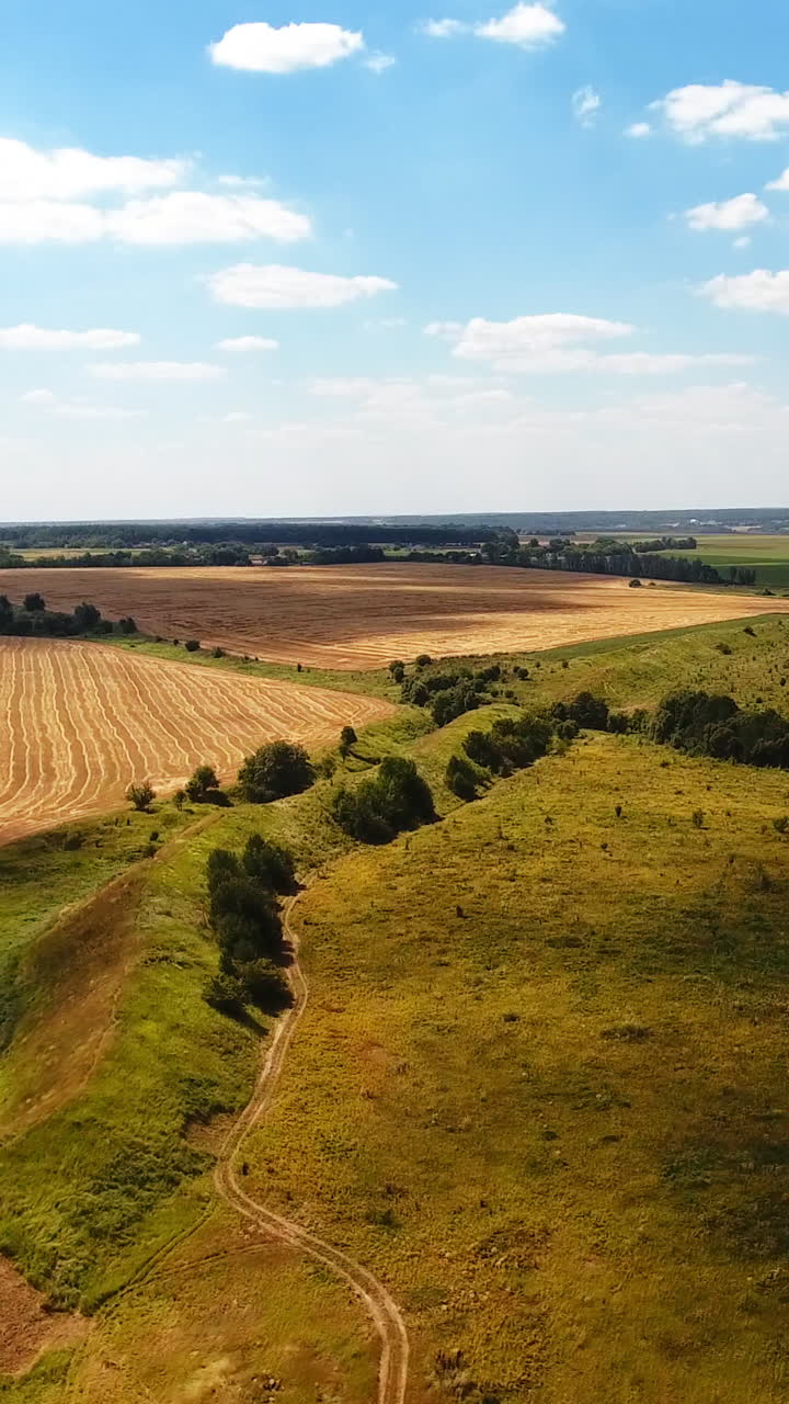 Green meadows, river, forests and wheat farmlands against blue sky. Shadows from clouds cover the ground. Vertical video