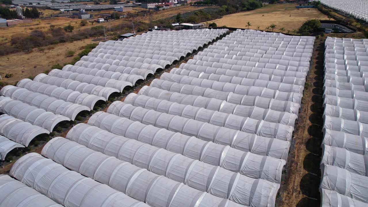 Slow aerial rise and pan over Blueberry plantation to reveal more farms in Michoac&aacute;n Mexico