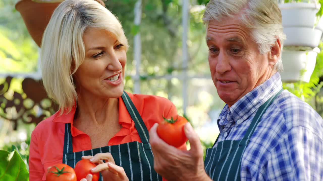 토마토 를 확인 하는 성숙 한 부부