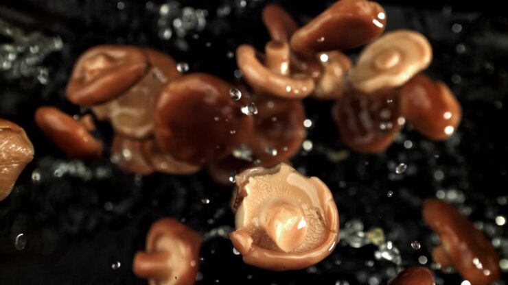 Fresh Shiitake Mushrooms Falling into Water in Slow Motion