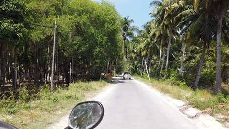 driving on a scooter moped down an island road on the andamans with palm trees lining and blue sky with clouds