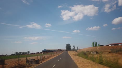 countryside road with cows and farm