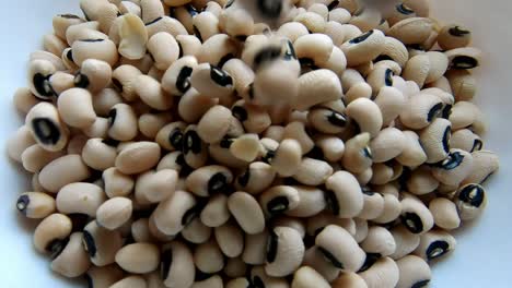 close up shot of raw black eyed beans falling on white plate