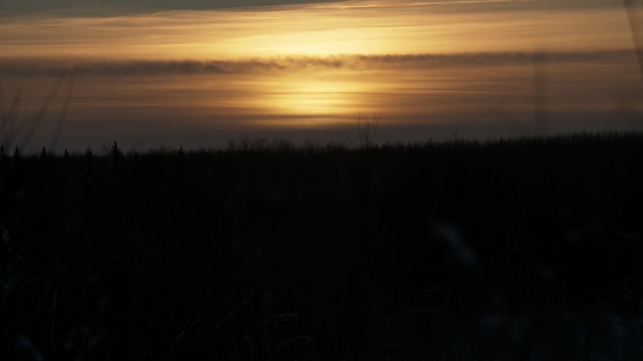 Timelapse of sun setting over winter landscape.  Tree are in the background as clouds pass in front of a setting sun.  Willow bushes in foreground.