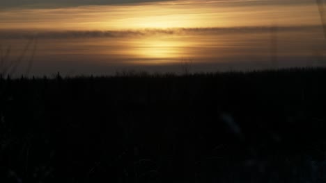 timelapse of sun setting over winter landscape.  tree are in the background as clouds pass in front of a setting sun.  willow bushes in foreground.