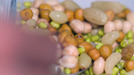 taking soak sprouts and nuts closeup view