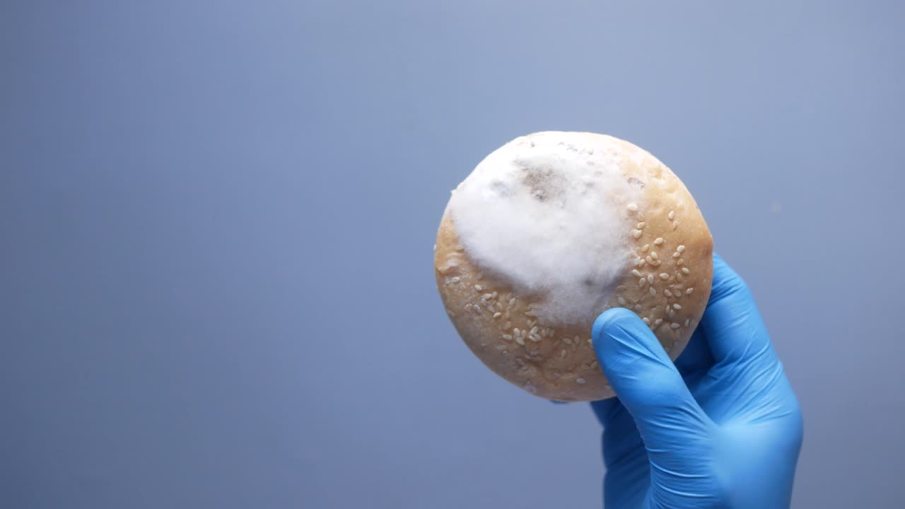 плесенистый хлеб в голубой перчатке