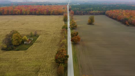 Coche-De-Vista-Aérea-Conduciendo-Por-Una-Carretera-Larga-Y-Recta-En-Otoño