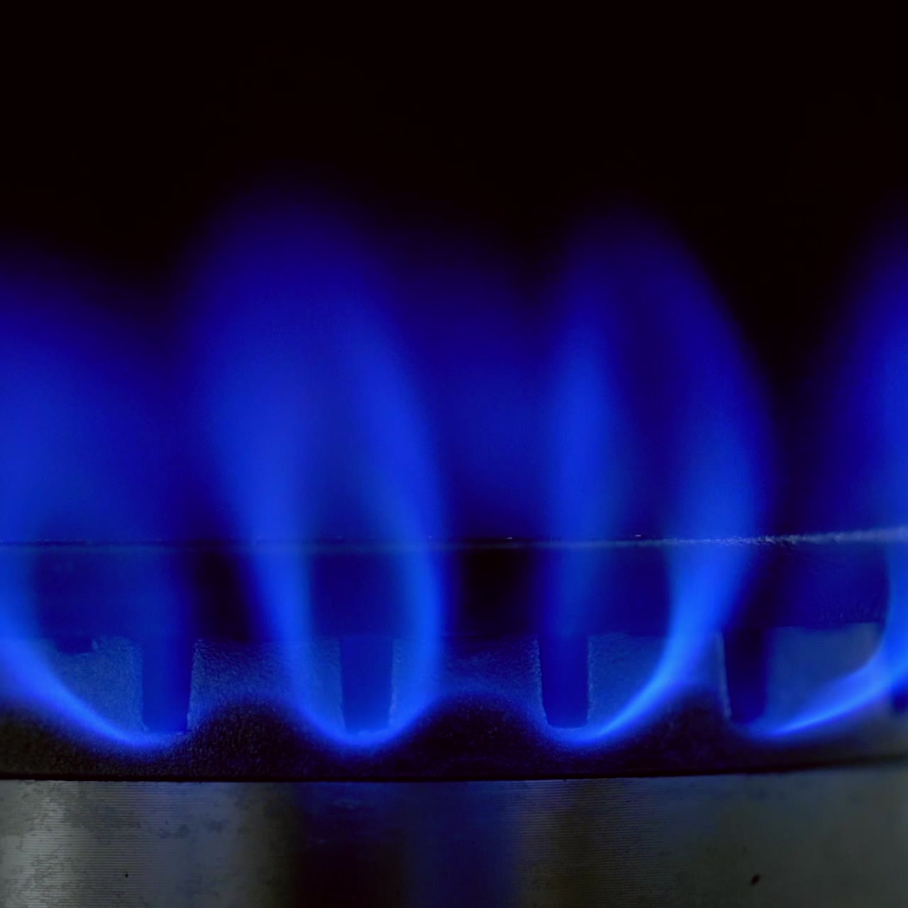 Gas blue flame. Gas stove on black background. Burning natural gas. Switching on fire on stove. Close-up.