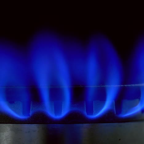gas blue flame. gas stove on black background. burning natural gas. switching on fire on stove. close-up.
