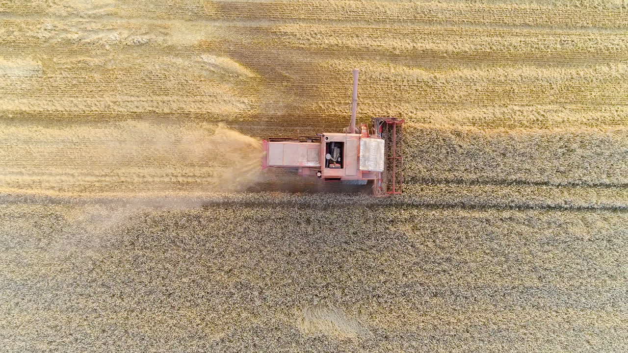 Harvesting Combine Harvester Harvesting Wheat 8