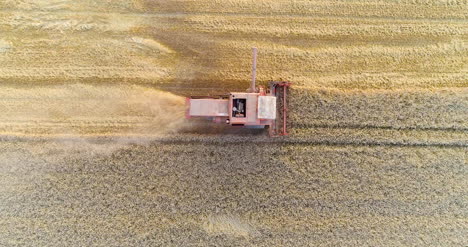 harvesting combine harvester harvesting wheat 8