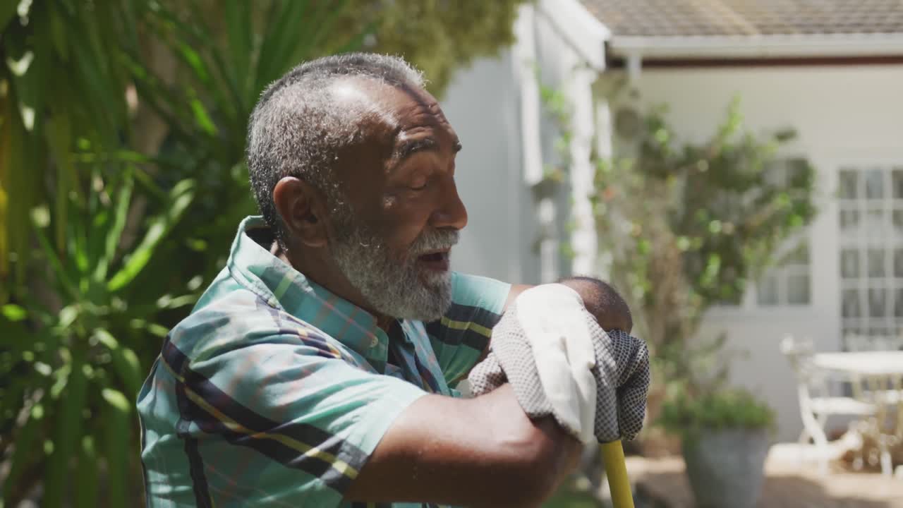 Senior man gardening on a sunny day