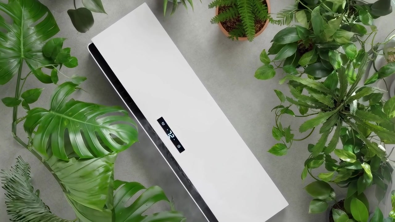 Modern Air Conditioner Unit Mounted on Wall Surrounded by Houseplants