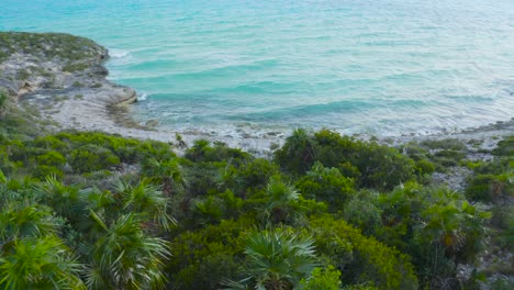 Aerial-view-over-beautiful-palm-trees-and-waves-on-the-blue-sea-in-Turks-and-Caicos-Islands,-4K