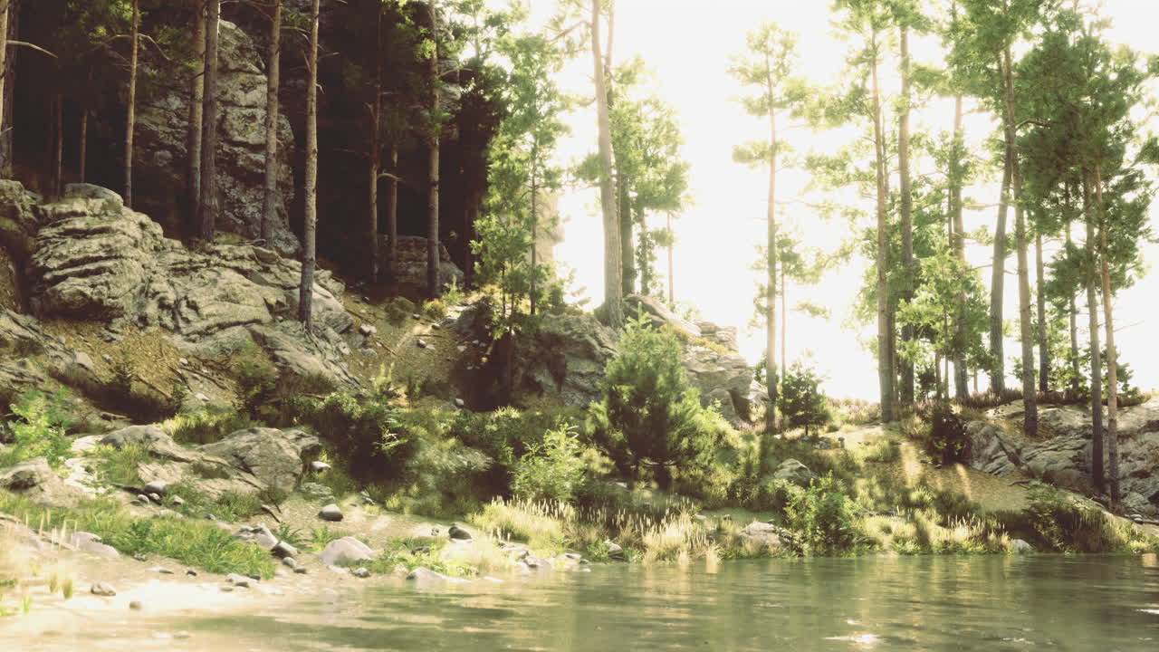 A peaceful forest scene features tall trees surrounding calm water