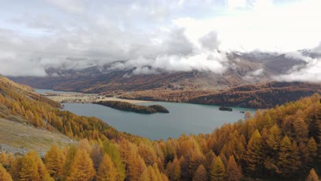 autumn view of silsersee lake surrounded by vibrant golden-orange forests in graubünden, switzerland. the serene landscape includes a tranquil water body, rocky slopes, and cloudy mountain backdrops