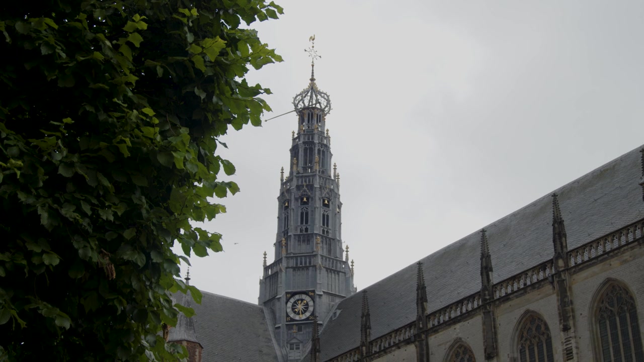 Long shot with tree foliage in foreground of clock tower of St.Bavos Cathedral in Haarlem, Amsterdam