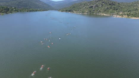 Impresionante-Toma-De-Drone-De-Una-Competición-De-Natación-De-Resistencia-En-La-Que-Nada-Un-Gran-Número-De-Participantes,-Muchos-De-Ellos-Con-Boyas-De-Colores.