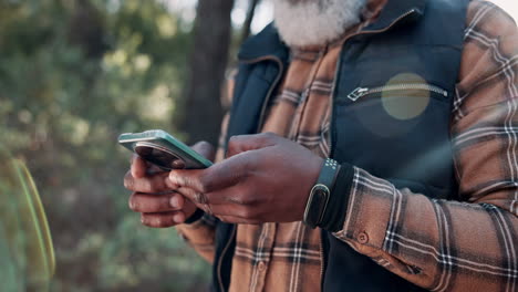 man texting on smartphone in a forest