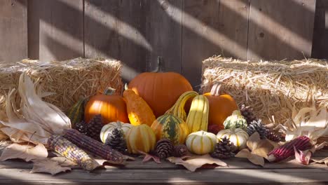 Dolly-in-shot-of-colorful-pumpkins-and-gourds-next-to-hay-bales-on-wooden-table-outdoors-with