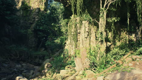 a lush jungle scene with sunlight streaming through the foliage