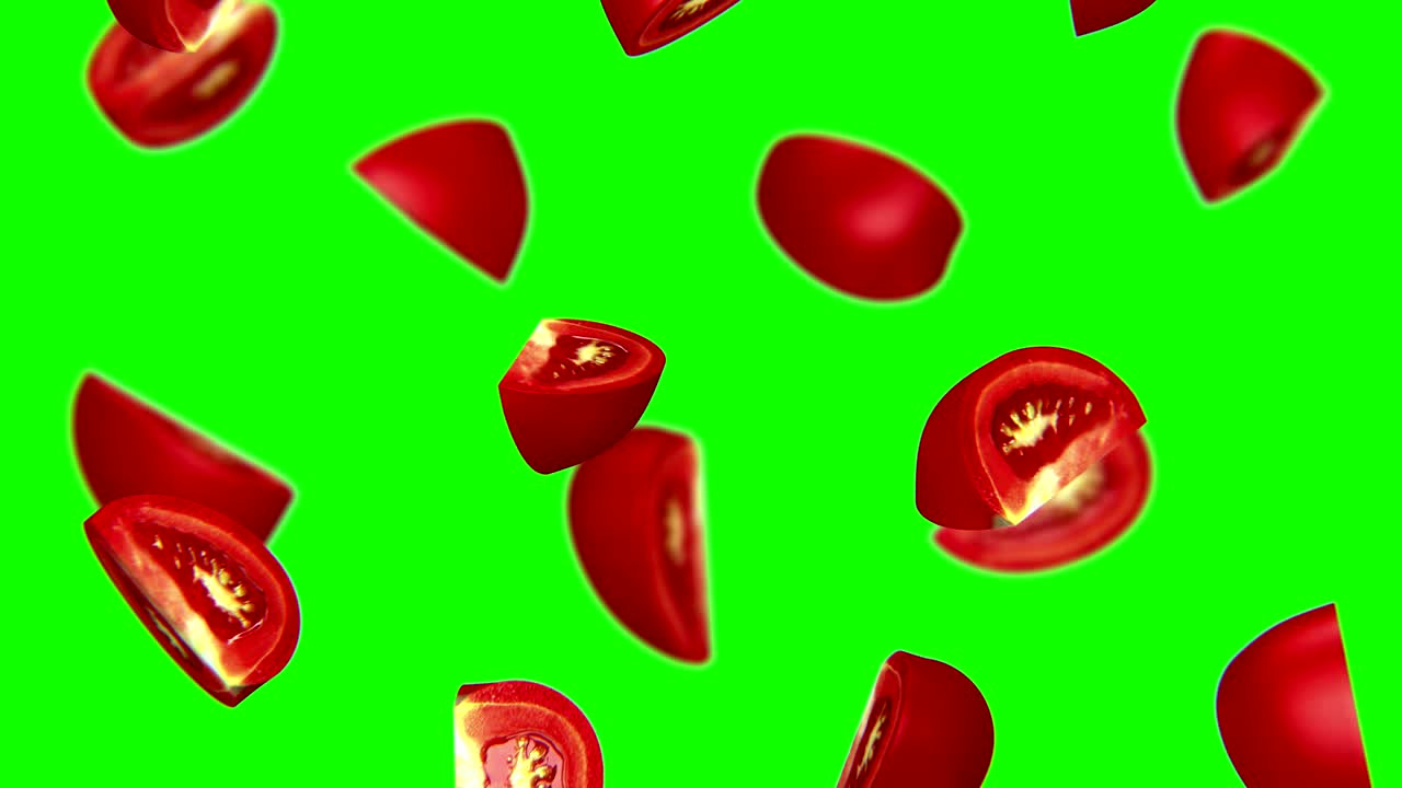 토마토의 lobules