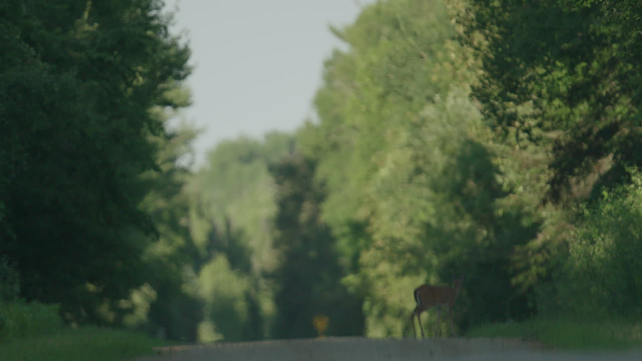 ⁇ 길을 가로질러  ⁇ 는 사 ⁇