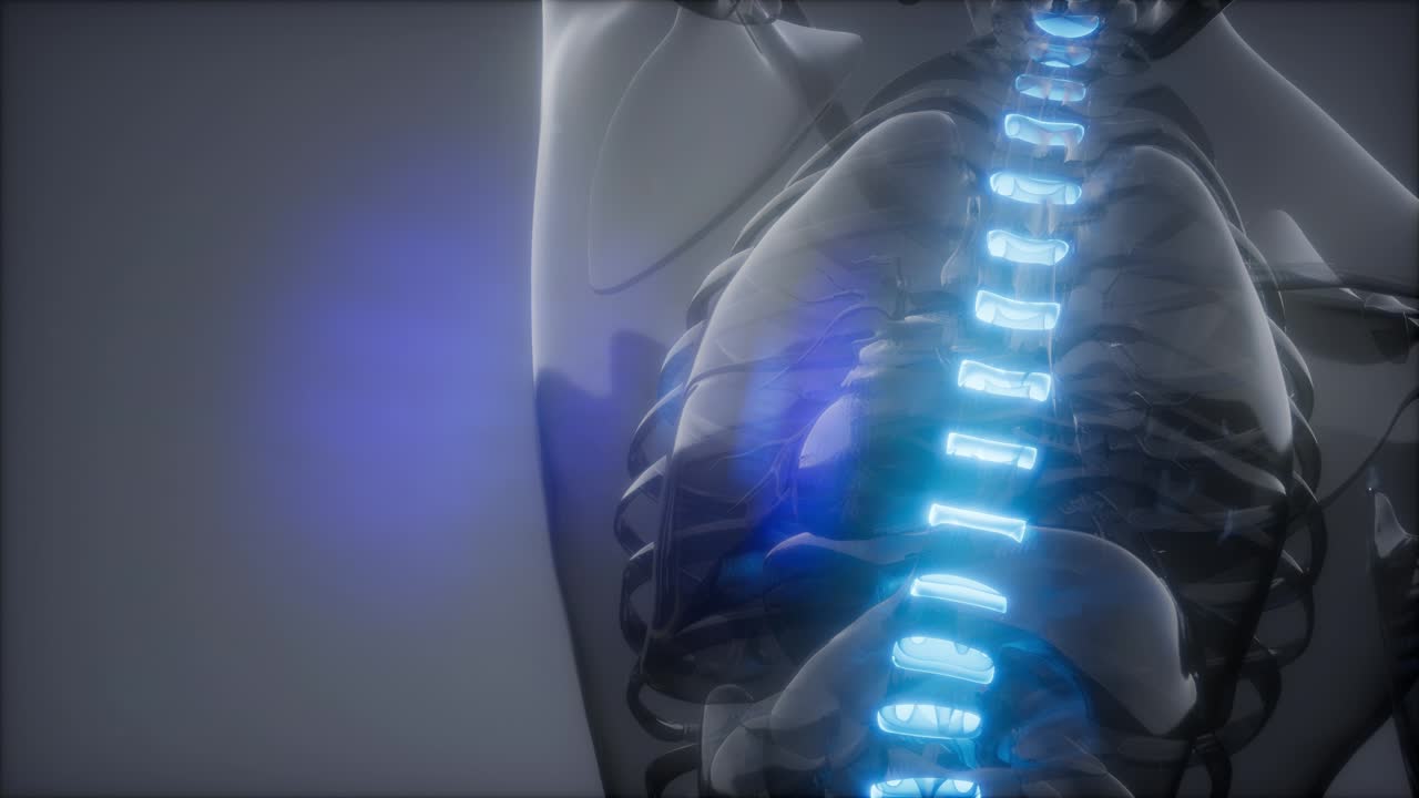 허리  ⁇ 에 허리 통증