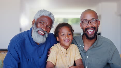 feliz, abuelo o cara de niño