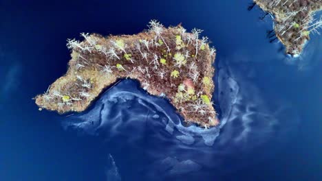 scenic aerial top down view of little island in blue baltic sea water , drone rotate around latvia cenas tirelis one of the largest areas of swampland in eastern europe