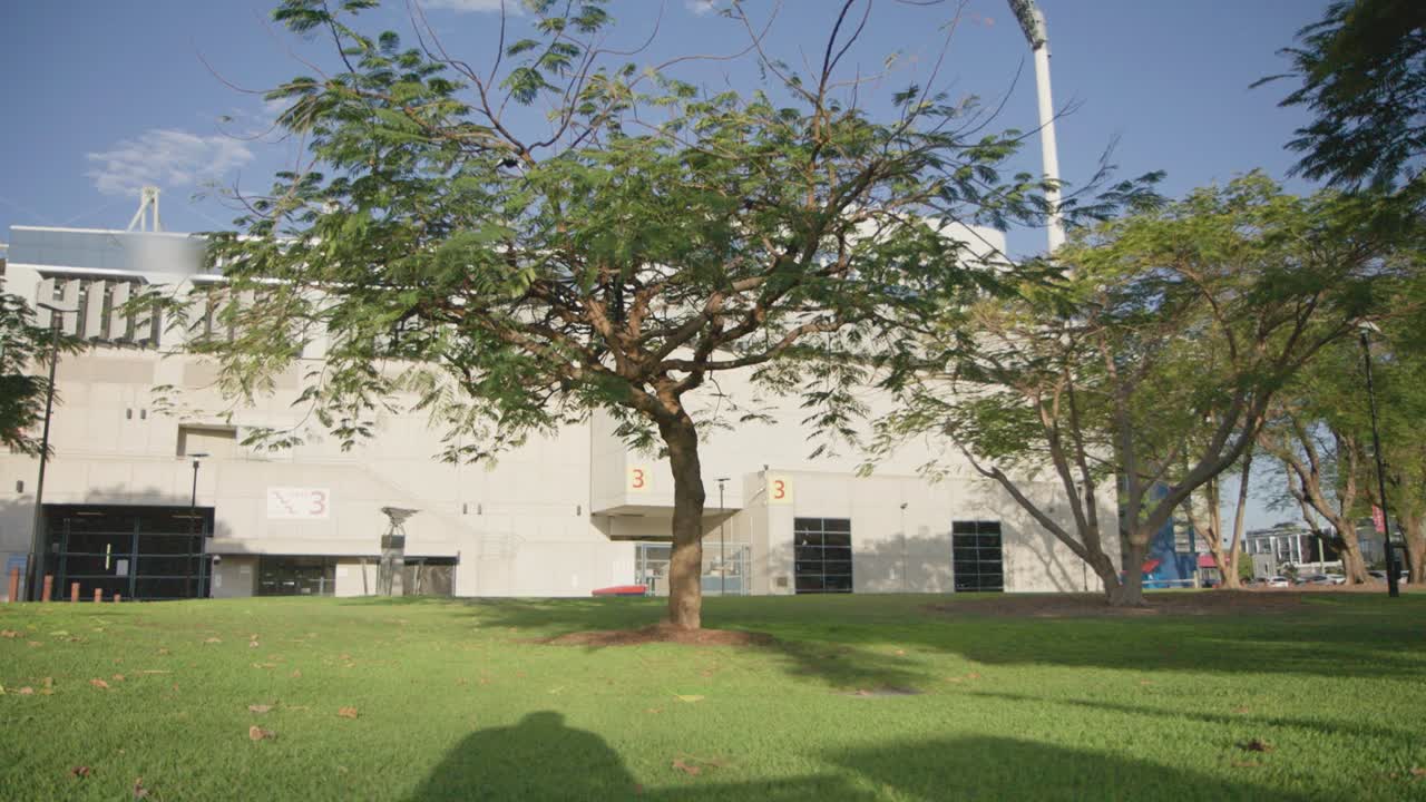 호주 까치 새 급습 카메라