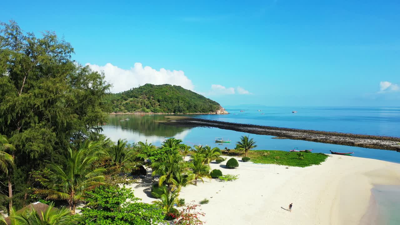 종려나무 와 은 파란 물 이 있는 열대 해변