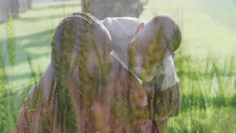 father and son crouching in park field, with animated environmental chart tracking plant growth