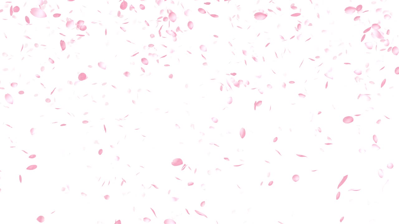 체리 꽃, 분홍색 꽃, 봄