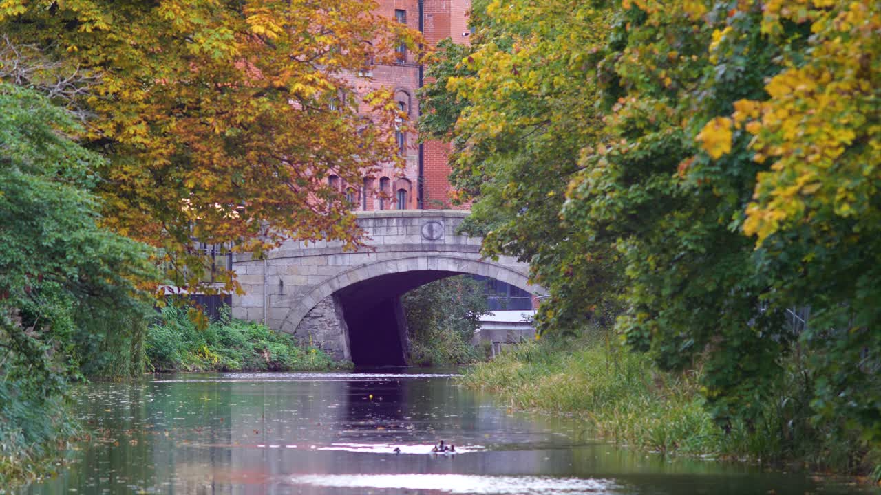 Bridge Over Grand Canal With Colorful Autumn Foliage Trees In Dublin, Ireland. Static Shot