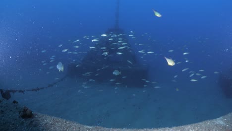 scuba divers unique view swimming out of a deep ocean structure