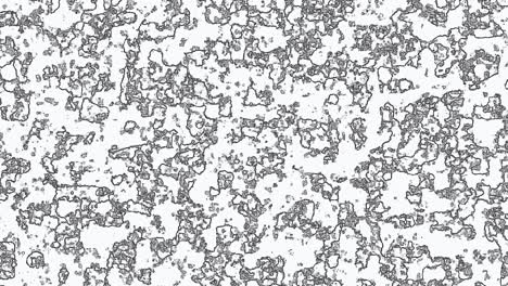 4k cells are infected with virus black and white loop animation background. displacment map color overlay background..