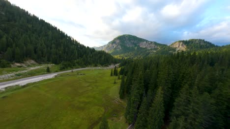 carretera rodeada de naturaleza bosque alpino en un valle en cadore, italia, con la cordillera de los dolomitas en el fondo al atardecer