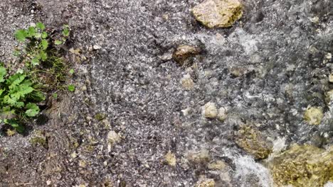 small pebble stones under clean river going downstream, clean mountain water