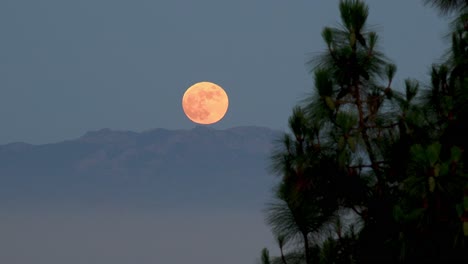 Una-Luna-Llena-Se-Eleva-Sobre-Los-Suburbios-De-Los-Angeles,-Colinas-De-Malibu,-Salida-De-La-Luna-Del-Sur-De-California