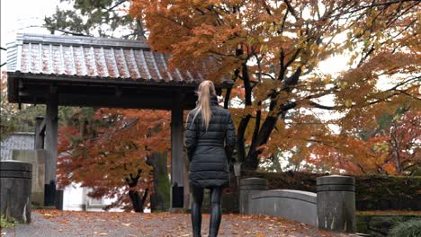 a woman strolls through a tranquil garden in kanazawa, japan, surrounded by vibrant red autumn foliage.