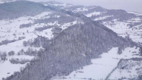 Drone-flying-forward-pointing-to-a-valley-with-trees-covered-by-snow