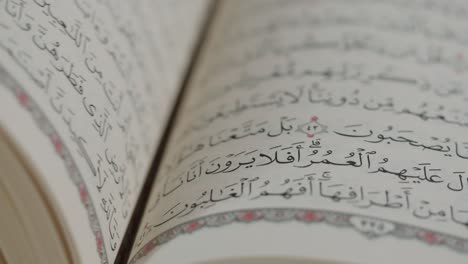 Open Quran