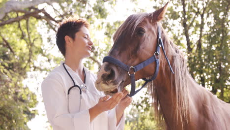 Veterinario-Alimentando-A-Un-Caballo