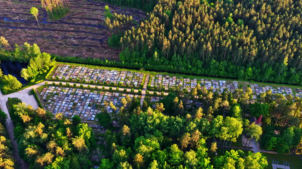 Aerial view of forest cemetery with neatly arranged grave rows next to clear cut area